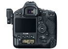 1dx back large[1]